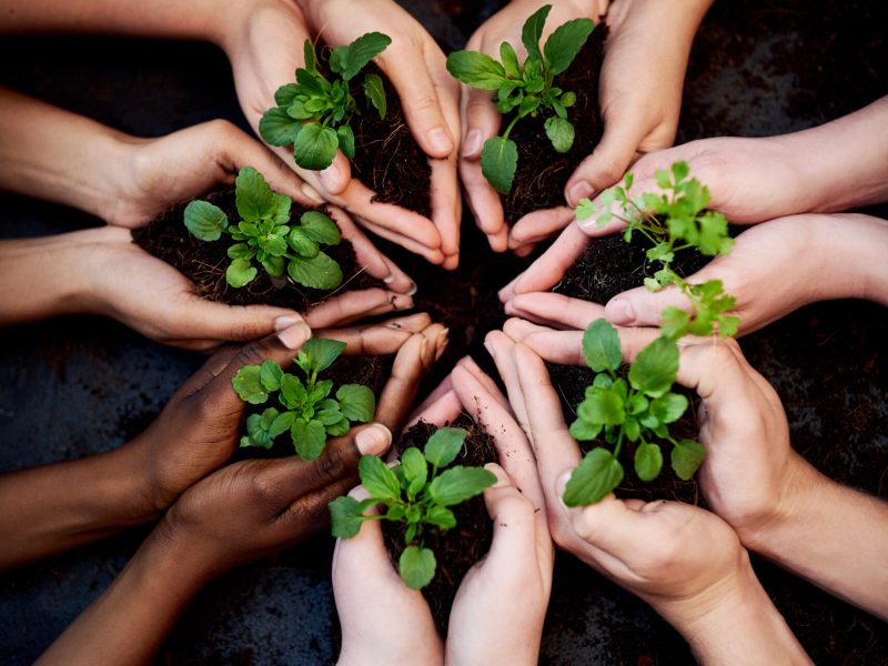 Group, soil and hands with plants in circle for sustainable, agriculture and eco friendly gardening. Community, support and team of people planting green sprout in fertilizer by agro environment